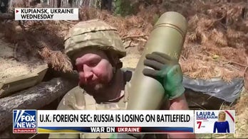 Ukraine is winning, Russia is losing: James Cleverly