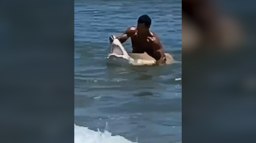 Swimmer catches shark with bare hands at Delaware beach