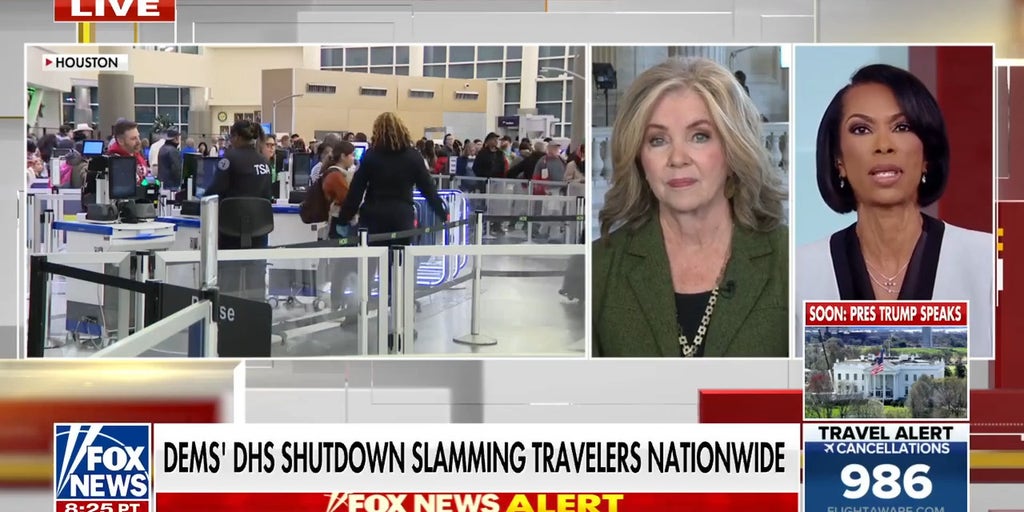 DHS shutdown fuels travel nightmares over unpaid TSA workers