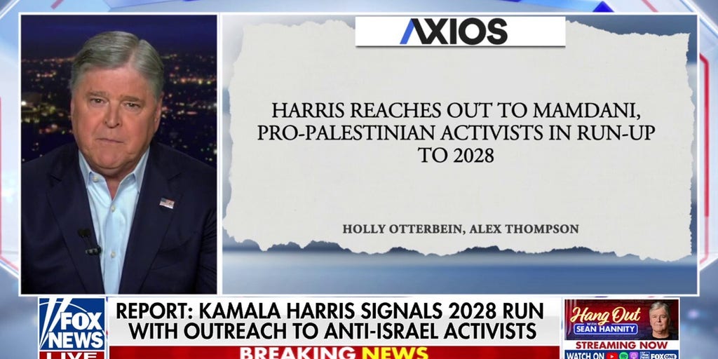 Sean Hannity: 'Anti-American extremists' are burning the Democratic Party to the ground