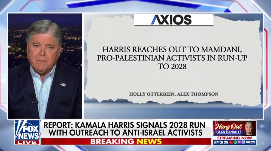 Sean Hannity: 'Anti-American extremists' are burning the Democratic Party to the ground