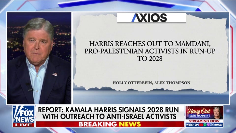 Sean Hannity: 'Anti-American extremists' are burning the Democratic Party to the ground