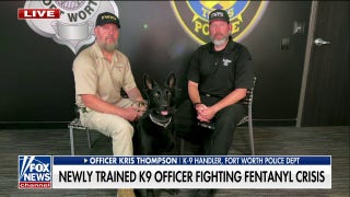 Rescued German Shepherd mix becomes K9 officer - Fox News