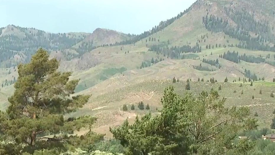 Biden Bureau of Land Management nominee linked to eco-terror plot
