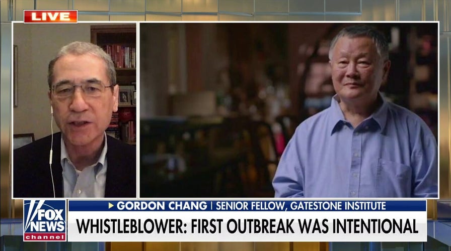 Wuhan scientists planned to release COVID particles into bats: report