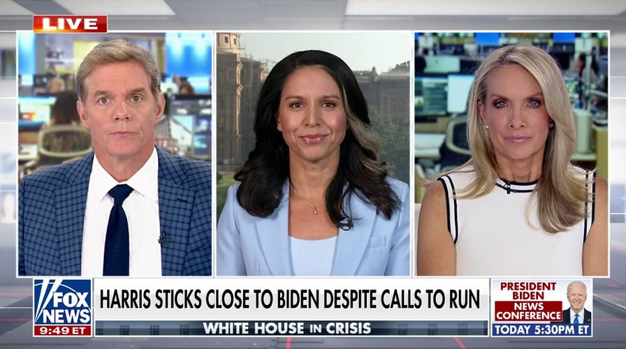 Tulsi Gabbard: It's clear Democrats don't care about Biden or Americans' interests