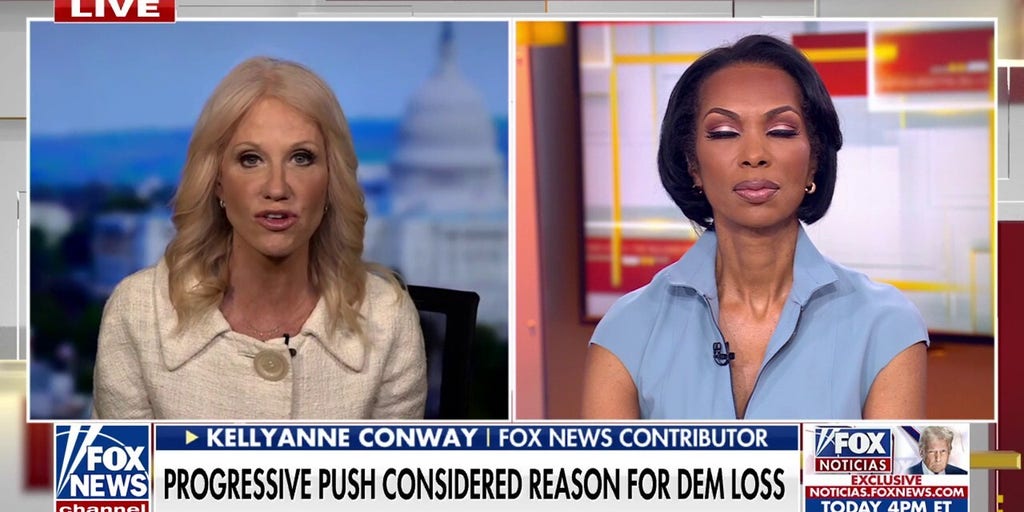 Longtime Dem adviser goes off on far left: Headed for a 'ditch!'