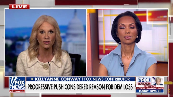 Longtime Dem adviser goes off on far left: Headed for a 'ditch!'