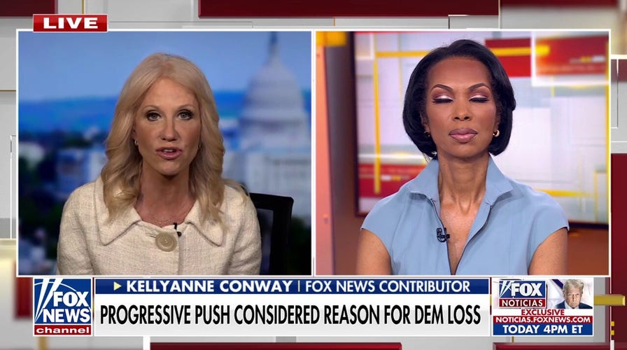 Longtime Dem adviser goes off on far left: Headed for a 'ditch'