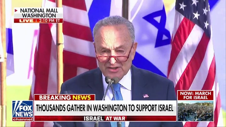 Chuck Schumer speaks at March for Israel rally: 'We will not hide in the face of adversity'