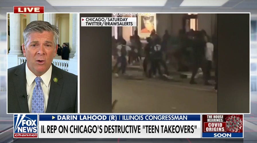 Illinois lawmaker rips Democrats after 'Teen Takeover' terrorizes Chicago: 'An embarrassment'