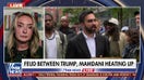 Columnist calls out Mamdani’s ‘fundamentally un-American principles’