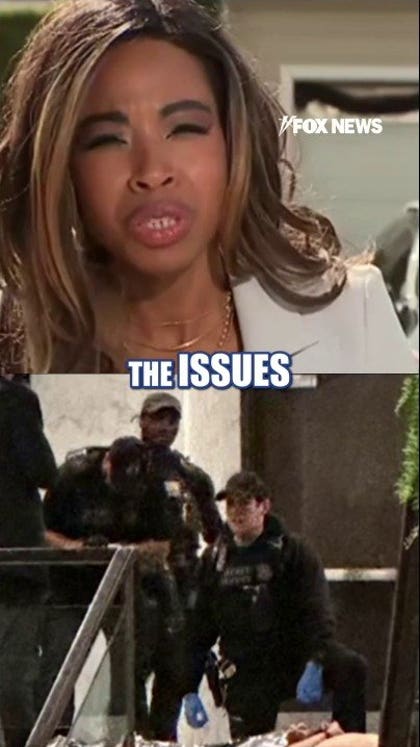 ‘ALLEGED MANIFESTO’: WH reveals new details on suspected WHCD gunman