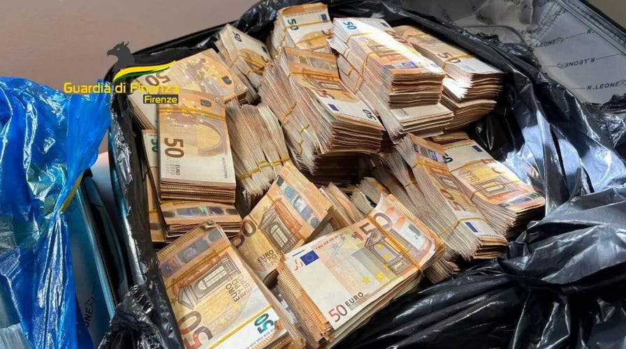 Italian police dog foils cash-smuggling attempt, discovers over $1 million in suitcases at bus station