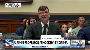 What does Congress need to do amid AI boom?