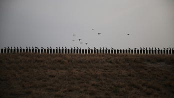 Smugglers abandon young girls at Mexico border