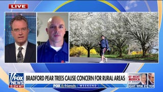 Forestry leaders call to ban Bradford pear trees - Fox News