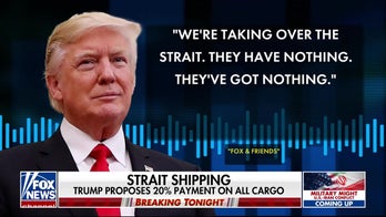 Trump proposes 20% payment on all cargo for Hormuz Strait passage