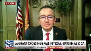 AZ lawmaker on border strategy: 'Finish the wall, boost agents, end catch and release' - Fox News