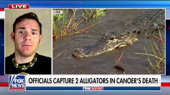 Officials capture 2 alligators in connection with Florida canoer’s death
