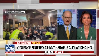Democratic congressman calls out violent anti-Israel protesters, says some have been 'duped'