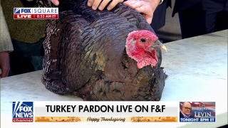 Turkeys 'Star' and 'Stripes' receive pardon  - Fox News