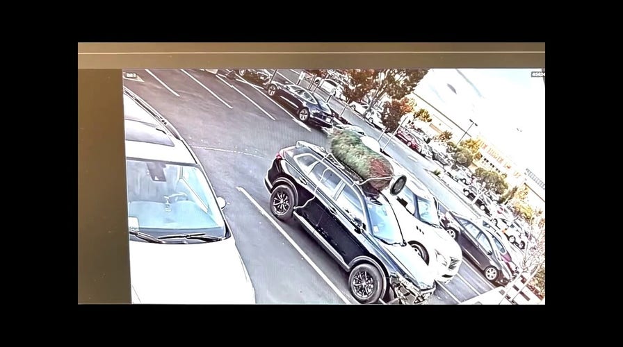 Mr. Grinchmas showed up to steal a Christmas tree': Police