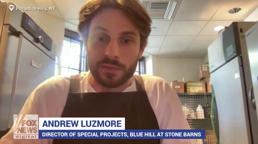 New York restaurant chef on the new use of fungus to transform food waste