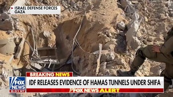 IDF releases alleged evidence of Hamas tunnels under Gaza hospital