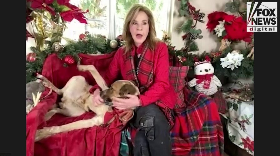 'Exorcist' actress Linda Blair 'unknowingly' walked away from acting to start her World Heart Organization