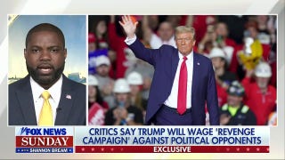 Rep. Donalds shuts down Dems' 'revenge campaign' concerns: 'Focused on making our country great' - Fox News