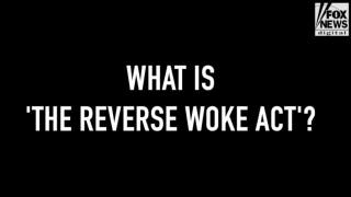 What is the "Reverse Woke Act"? - Fox News