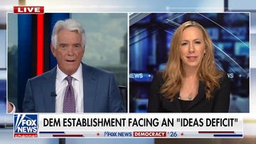 Moderate Democrats don't have enough ideas, expert says