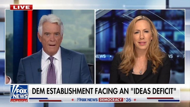 Moderate Democrats don't have enough ideas, expert says