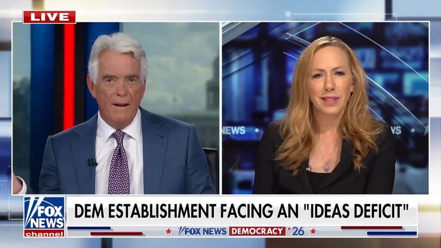 Moderate Democrats don't have enough ideas, expert says