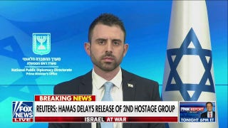 Releasing Hamas criminals as a part of the hostage deal was a ‘bitter pill to swallow’: Eylon Levy - Fox News