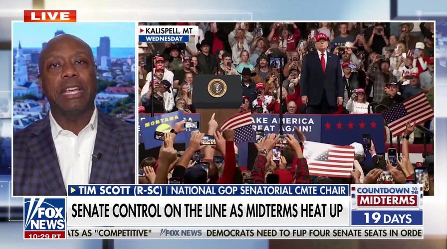 Sen. Tim Scott on battle for Senate control as midterms heat up