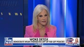 Dems have 'stage 5' 'Trump Derangement Syndrome': Kellyanne Conway
