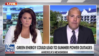 Energy expert sounds alarm about green transition causing blackouts: 'It's already happening'