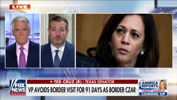 Ted Cruz rips Kamala Harris after announcement of border trip: They realized 'oh crap, we gotta do something'