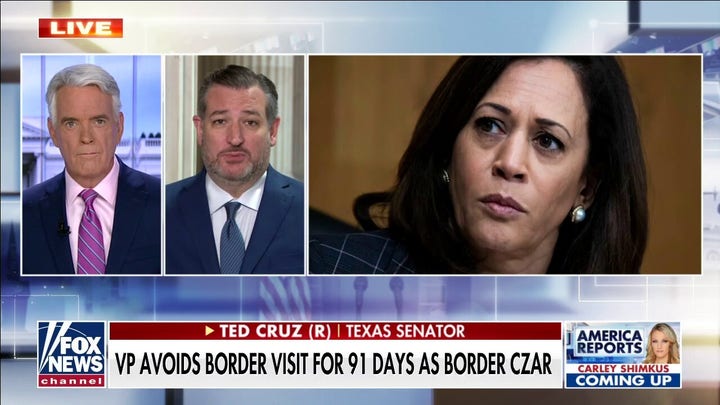 Ted Cruz on Kamala Harris visiting border this week: ‘They realized oh crap, we gotta do something’
