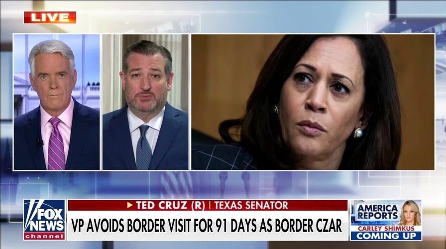 Ted Cruz on Kamala Harris visiting border this week: ‘They realized oh crap, we gotta do something’