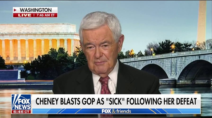 Gingrich blasts Liz Cheney for attack on Republicans after primary loss: She thinks she’s ‘moral judge’