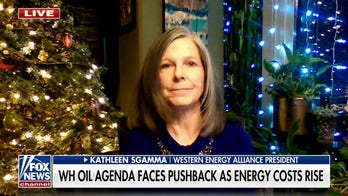 Biden administration coming up with excuses to avoid domestic energy production: Kathleen Sgamma