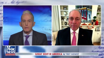 Chuck Schumer 'seems to only care' about his political future, says Steve Scalise