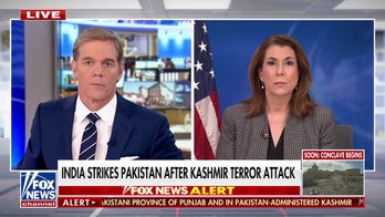 Tammy Bruce says Trump wants 'generational wars' to end amid India, Pakistan attacks 