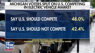 Michigan auto worker calls out Dems' electric vehicle mandates - Fox News