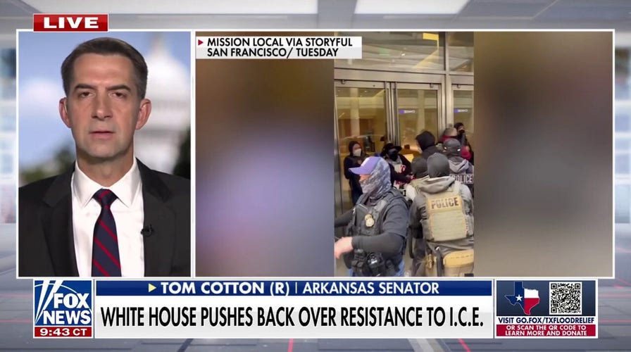 Sen. Cotton fires back against 'disgraceful' Dems over ICE resistance