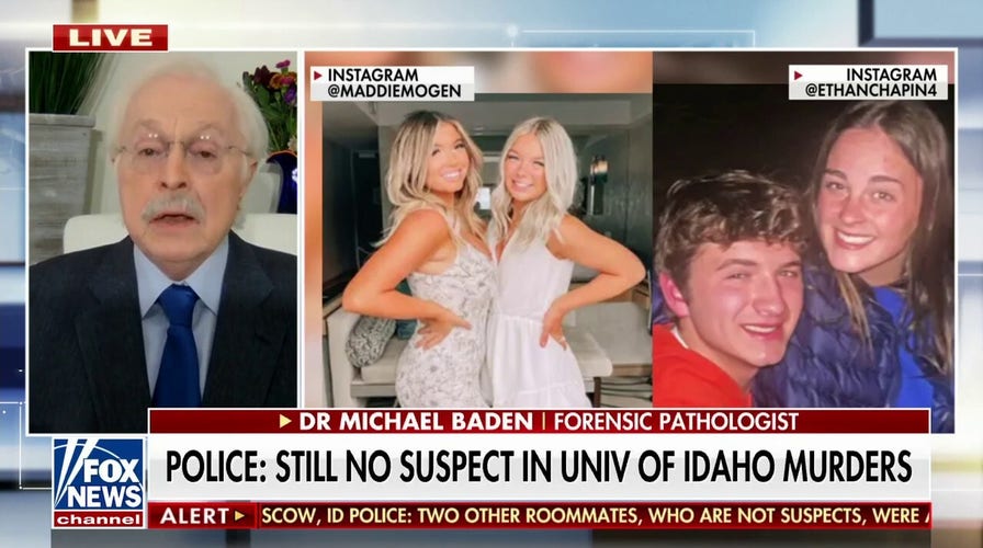 Blood at Idaho murder scene could be key to identifying suspect: Dr. Michael Baden