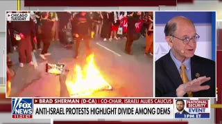 California Dem reacts to division over anti-Israel protests: Hamas 'is against an immediate cease-fire' - Fox News